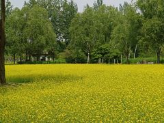 -北坞公园