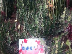 -南通洲际绿博园