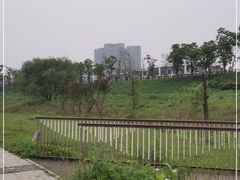 -马栏山视频文创产业园