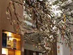 -梅花境(万科店)