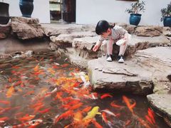 -森谷美食公园(杨行店)