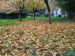 -终南山国家森林公园