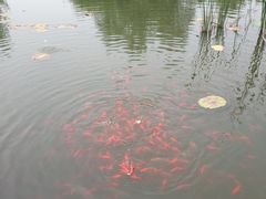 -东郊湿地公园