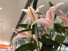 -南堂馆·新川菜(春熙路店)