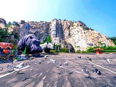 -西霞口神雕山野生动物世界