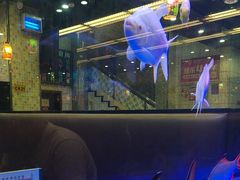 -新辉港式茶餐厅(北栅店)