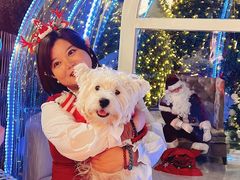 -上海外滩华尔道夫酒店
