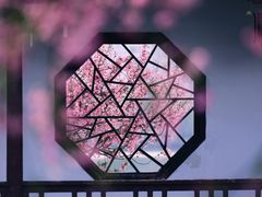 -莫愁湖公园