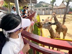 -西霞口神雕山野生动物世界