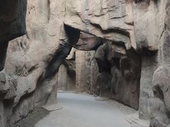 -成吉思汗公园