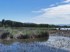 -野鸭湖国家湿地公园