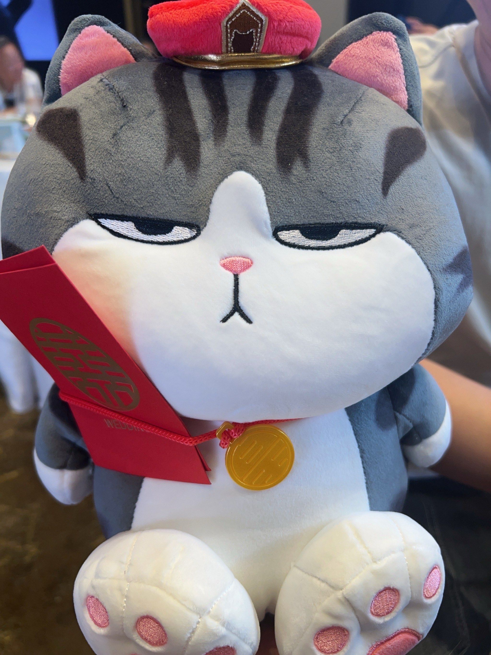 婚礼抢到的吾皇万岁玩偶