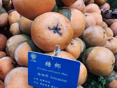 -昆明植物园