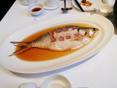陈年花雕蒸鲥鱼-福1088