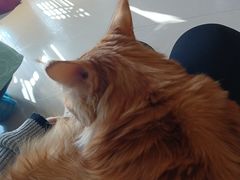 -平行世界·猫咖(首经贸店)
