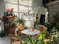 -树咖啡tree coffee