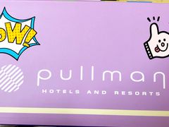 -南京禄口机场雅高铂尔曼大酒店