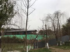 -白鹭湾湿地公园