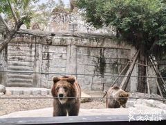 -灵玲国际马戏城