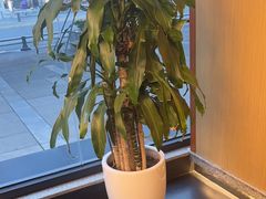 -如轩·海鲜砂锅粥·潮汕菜(一品天下店)