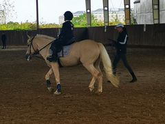 -松声马术俱乐部