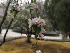 -山东师范大学(千佛山校区)