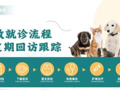 -博特宠物医院24h犬猫全科.骨科·异宠
