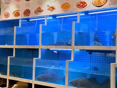 -聚丰园•湖鲜餐厅(阿红私房菜梅石路店)