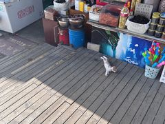 -江南天池