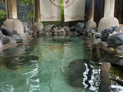 -张家港金凤凰度假村温泉