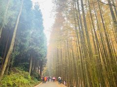 -山王坪喀斯特国家生态公园
