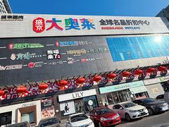 -盛京大奥莱(沈阳奥体店)
