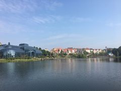 景点-大塘金香草谷