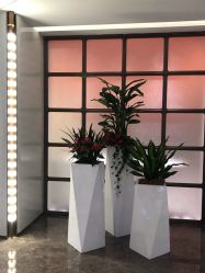 -广州美莱医疗美容医院