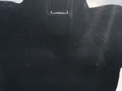 -太阳部落
