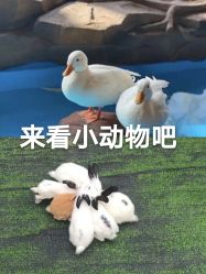 -萌宠亲子动物乐园(槐房万达店)