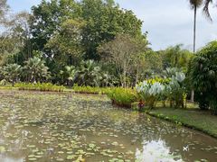 -中国科学院西双版纳热带植物园