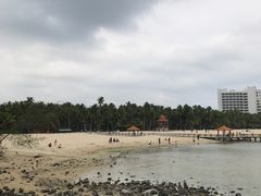 -东郊椰林