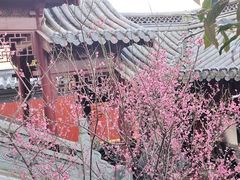 -上海财神庙
