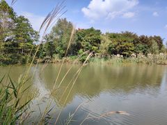 -梁鸿国家湿地公园