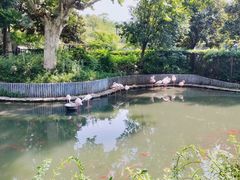 -红梅公园