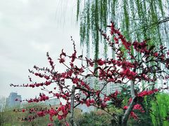 -木塔寺遗址生态公园