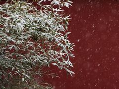 -7天酒店·北京上地清河地铁站店