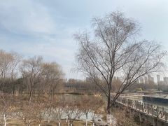 -西安浐灞国家湿地公园
