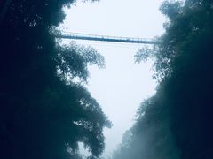 -川西竹海景区