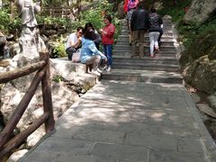 -王顺山国家森林公园