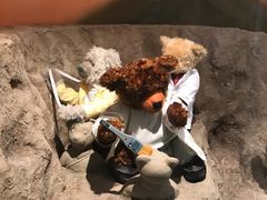 -济州岛泰迪熊博物馆