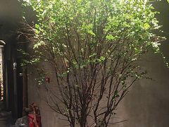 -森SPA·泰式按摩·精油Massage(宝安中心店)