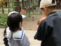 -林栖谷森林康养度假区