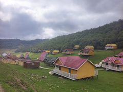 -关山草原